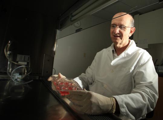 Tufts stem cell researcher Jonathan Garlick (photo: Essdras M Suarez/Globe Staff)